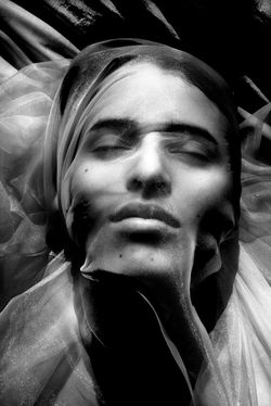 Wrapped Untitled # 6