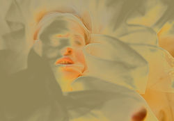 Wrapped Untitled # 16