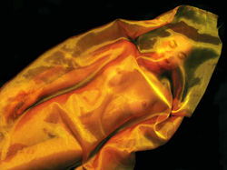 Wrapped Untitled # 41